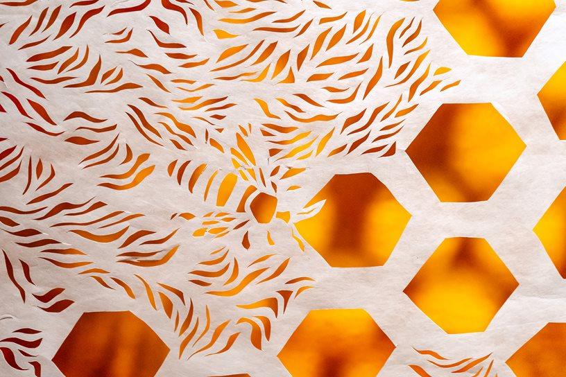 detailed view of hand-cut white tyvek with patterns of bees and honeycombs overlaying orange